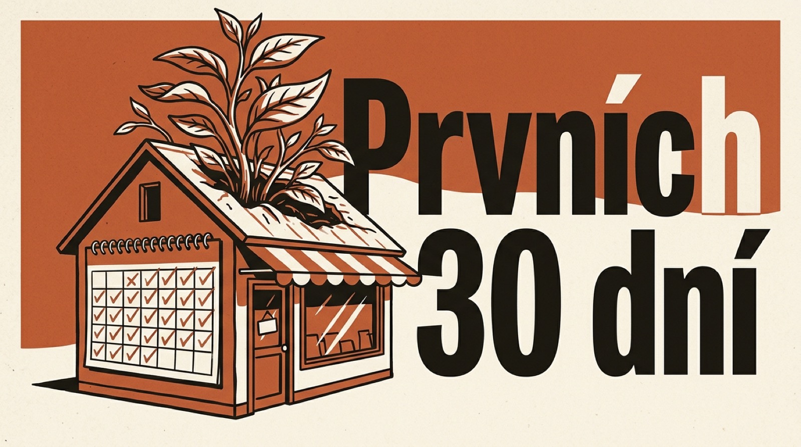Prvních 30 dní e-shopu: co nastavit po spuštění